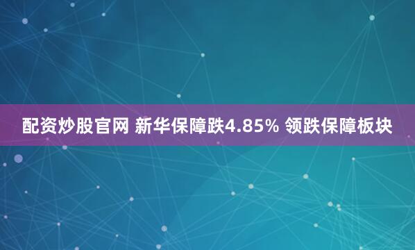 配资炒股官网 新华保障跌4.85% 领跌保障板块