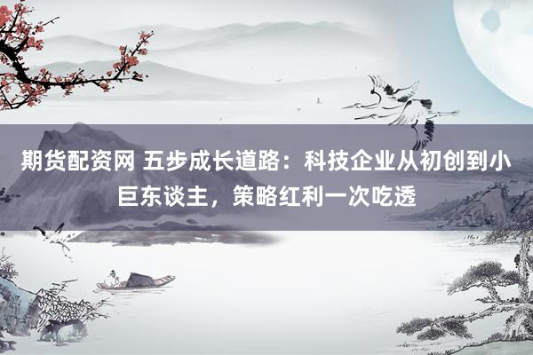 期货配资网 五步成长道路：科技企业从初创到小巨东谈主，策略红利一次吃透
